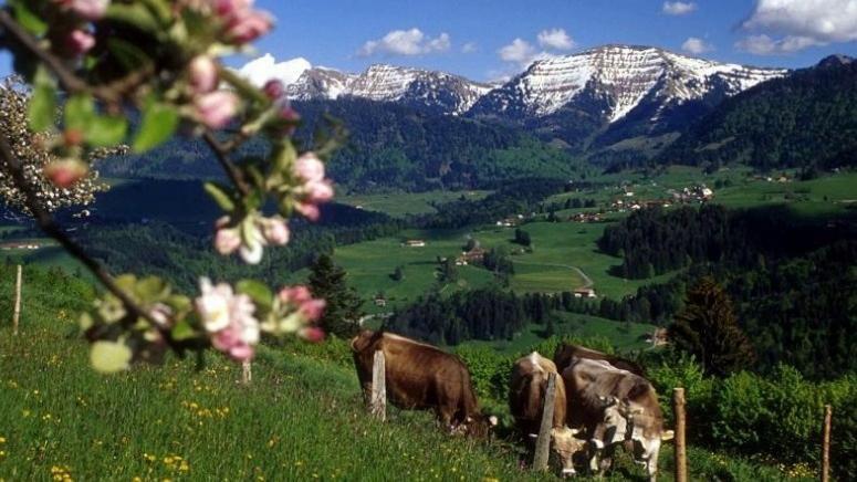 Fewo Alpenbrise, אוברשטאופן מראה חיצוני תמונה